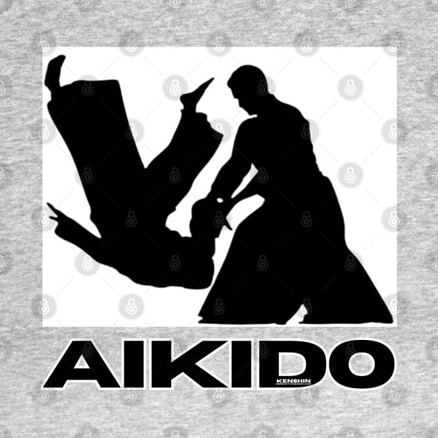 Aikido by Kenshin